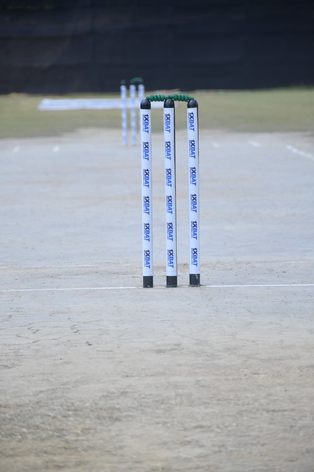 Close-up of branded stumps on the pitch